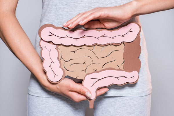 Understanding Celiac Disease: Genetic Predisposition, Environmental Factors, and Microbiome